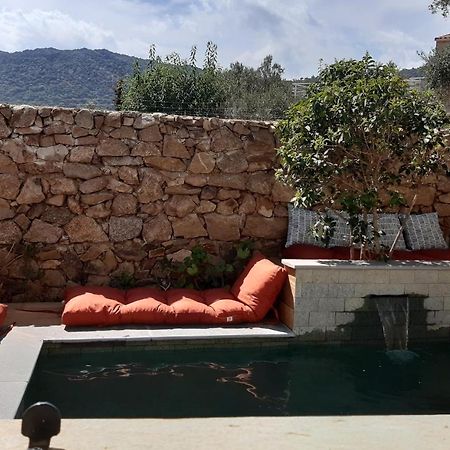 Maison 2 Chambres Et Piscine Chauffee Entre L'Ile Rousse Et Monticello Dış mekan fotoğraf